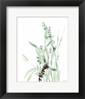 Grasses III Fine Art Print