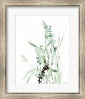 Grasses III Fine Art Print