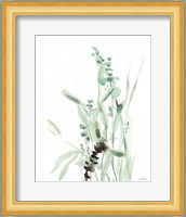 Grasses III Fine Art Print