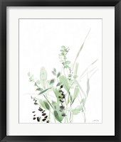 Grasses II Framed Print