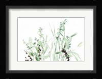 Grasses I Fine Art Print