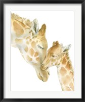 Giraffe Love on White Fine Art Print