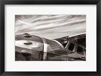 Aviator Framed Print