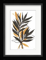 Amber Palm IV Framed Print