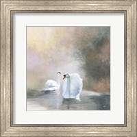 Swans in Mist Fine Art Print