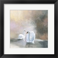 Swans in Mist Fine Art Print