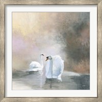 Swans in Mist Fine Art Print