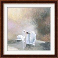 Swans in Mist Fine Art Print