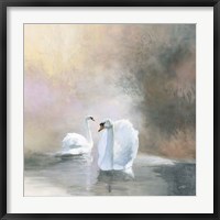 Swans in Mist Fine Art Print