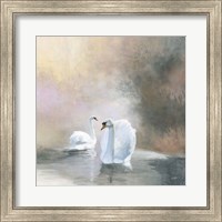 Swans in Mist Fine Art Print