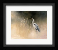 Peaceful Egret Fine Art Print