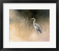 Peaceful Egret Fine Art Print