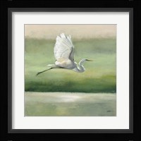 Flight Framed Print