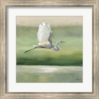 Flight Fine Art Print