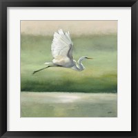 Flight Framed Print