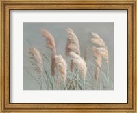 Pampas Grasses on Gray Fine Art Print