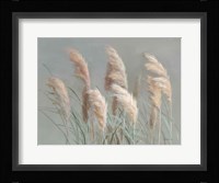 Pampas Grasses on Gray Fine Art Print