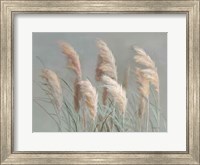 Pampas Grasses on Gray Fine Art Print