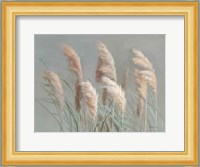 Pampas Grasses on Gray Fine Art Print