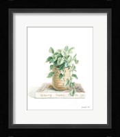 Grown at Home II Framed Print
