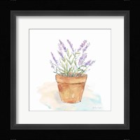 Let it Grow VIII Framed Print