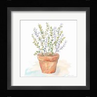 Let it Grow XI Framed Print