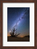 Bristlecone Milky Way Bryce Fine Art Print