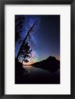 Stars over Jenny Lake Fine Art Print