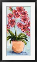 Orchids Fine Art Print