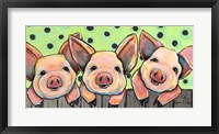Pig Pen Fine Art Print