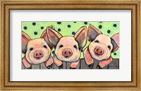 Pig Pen Fine Art Print