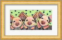 Pig Pen Fine Art Print