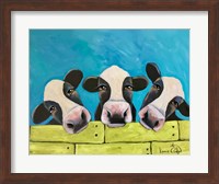 Cows Fine Art Print