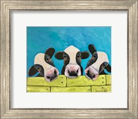 Cows Fine Art Print