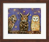 Owls Fine Art Print