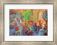 Color Reef Fine Art Print