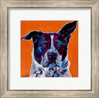 Pit Bull Mix - Brewster Fine Art Print