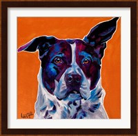 Pit Bull Mix - Brewster Fine Art Print