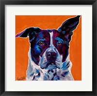 Pit Bull Mix - Brewster Fine Art Print