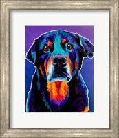 Rottweiler - Nitro Fine Art Print