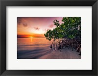 Sunset Over the St. Lucie River Fine Art Print