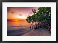 Sunset Over the St. Lucie River Fine Art Print