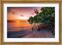 Sunset Over the St. Lucie River Fine Art Print