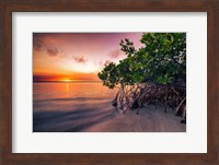 Sunset Over the St. Lucie River Fine Art Print