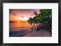 Sunset Over the St. Lucie River Fine Art Print