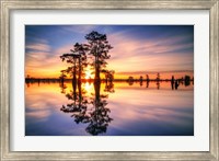 Dawn in Henderson Swamp Fine Art Print