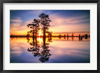 Dawn in Henderson Swamp Fine Art Print