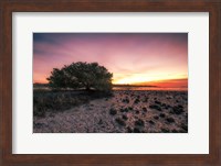 Cedar Key Sunrise Fine Art Print