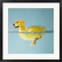 Dog Duck Fine Art Print
