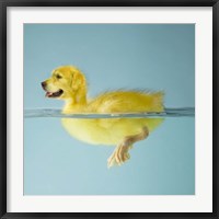 Dog Duck Fine Art Print